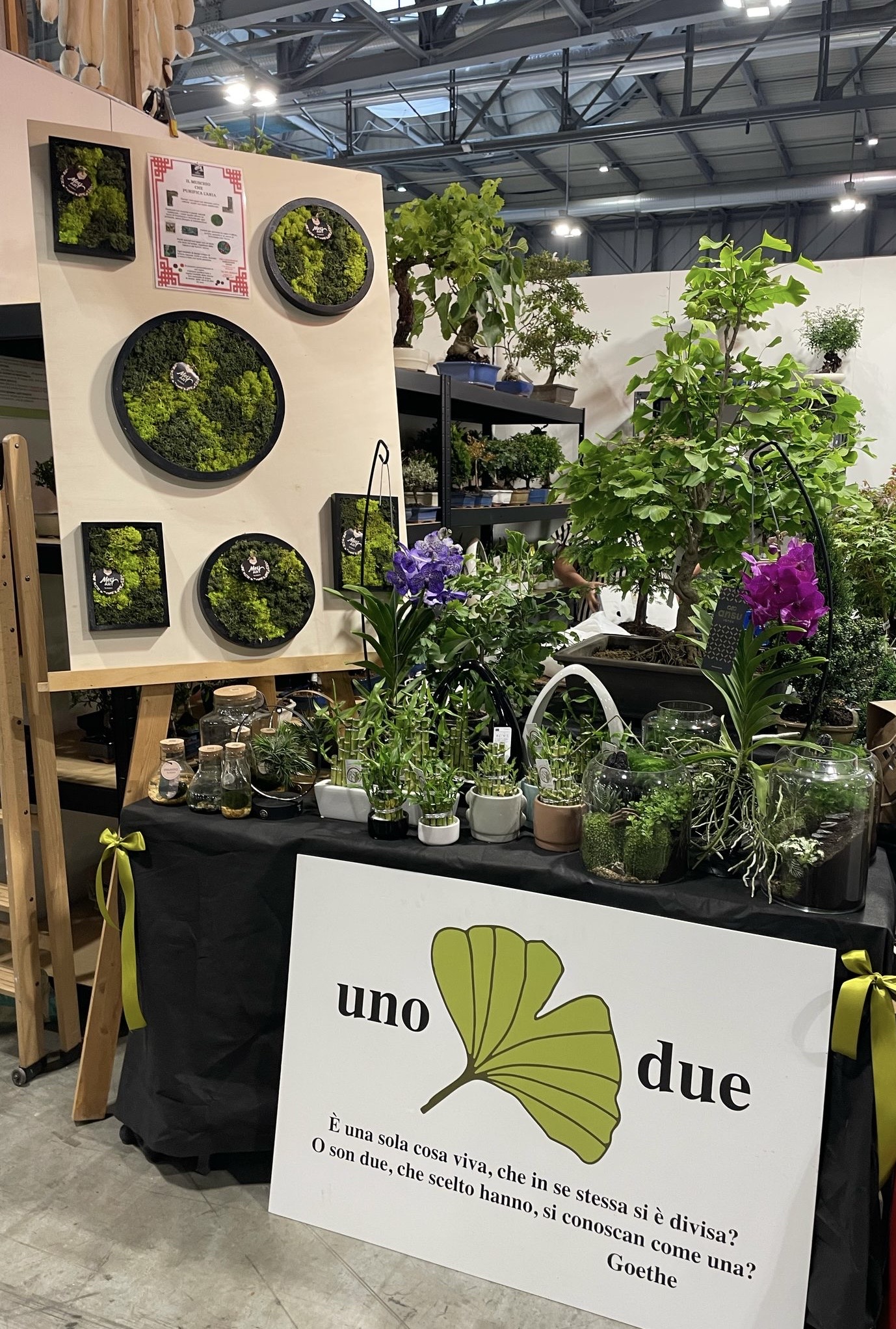 Dimensione Verde all’Artigiano in Fiera
